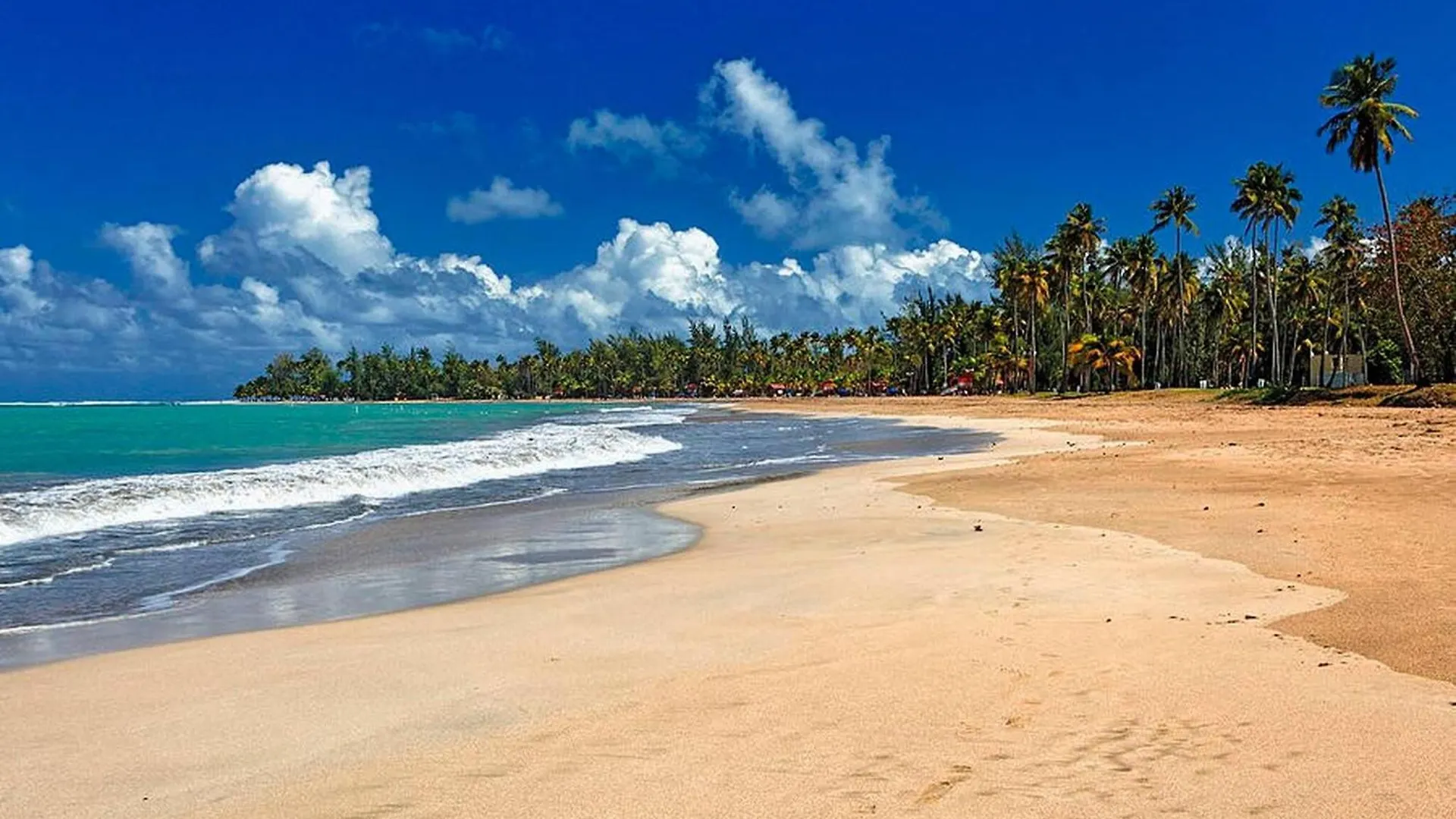 2 Units, 1 Price Group Bundle Sleeps 8 Beach House Luquillo Appartamento