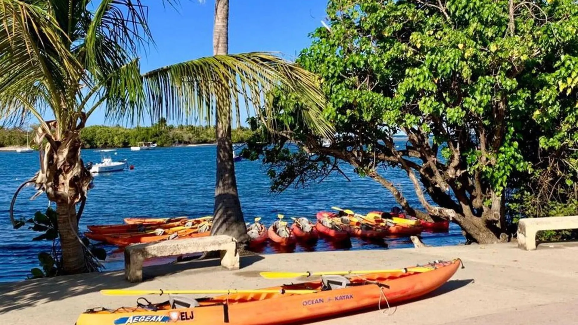 2 Units, 1 Price Group Bundle Sleeps 8 Beach House Luquillo 0*,  Puerto Rico