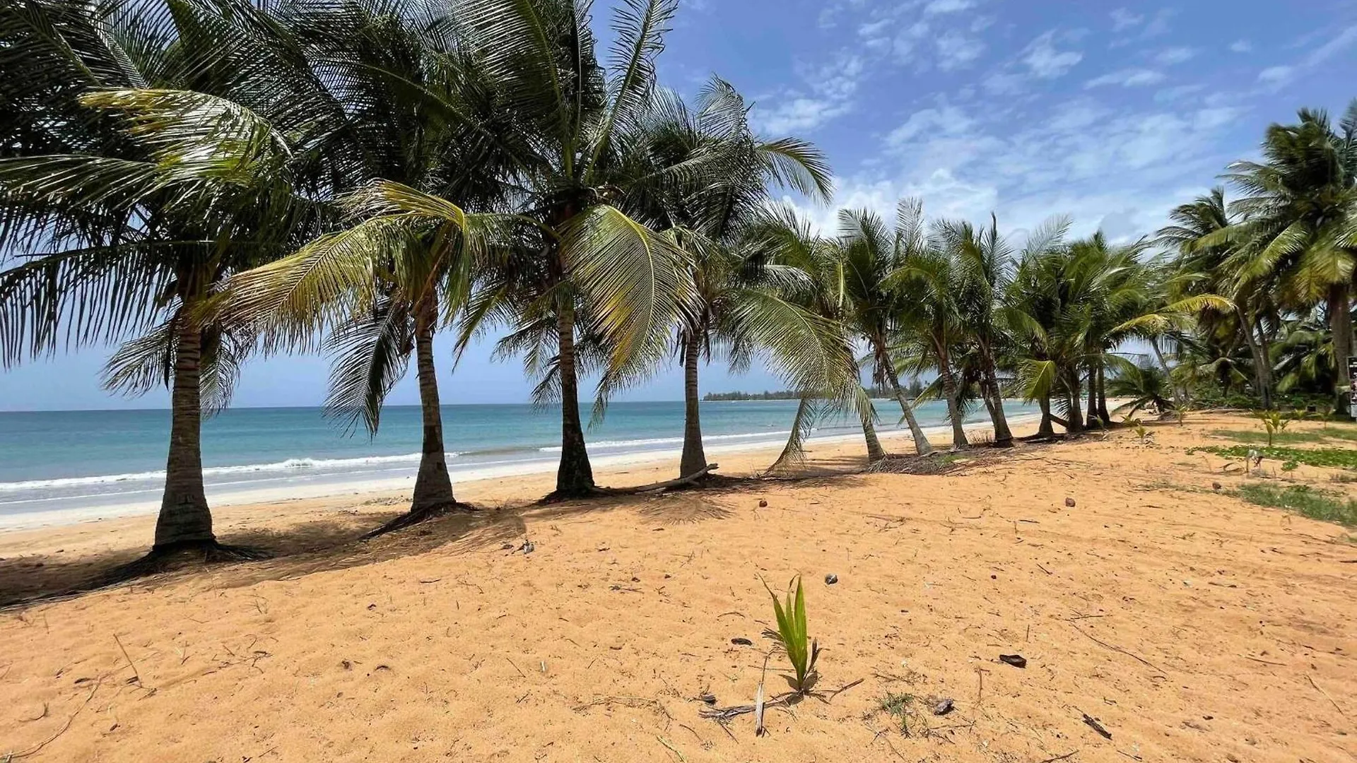 2 Units, 1 Price Group Bundle Sleeps 8 Beach House Luquillo 0*,  Puerto Rico