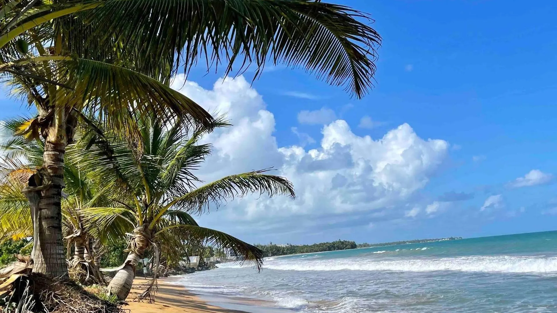 2 Units, 1 Price Group Bundle Sleeps 8 Beach House Luquillo